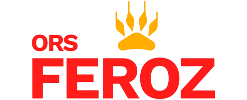 logo: ORS Feroz